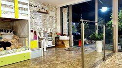 Poh Huat Road (D19), Terrace #584153451